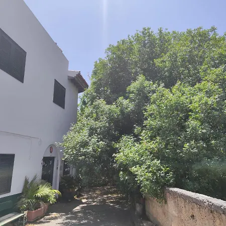 La Casa Del Almacigo Apartment Arona  Exterior photo